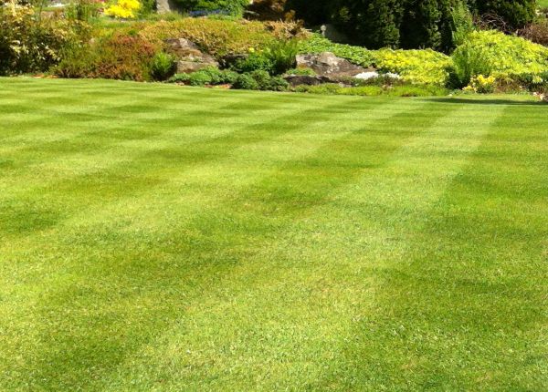 Commercial Grass Cutting in Pickerington