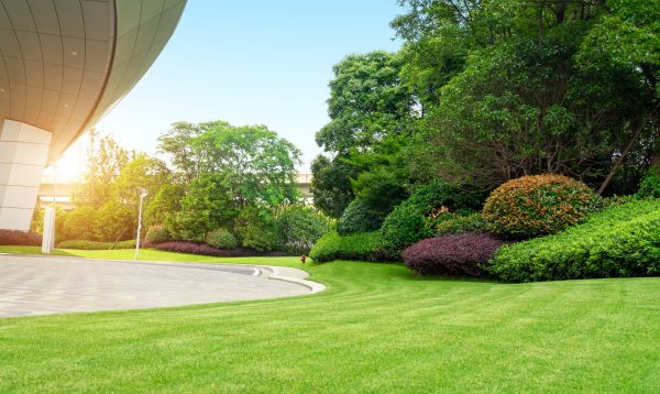 Commercial Lawn Care in Pickerington