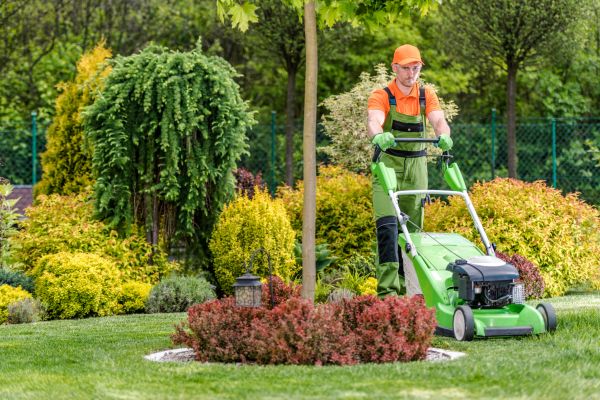 Yard Service in Pickerington