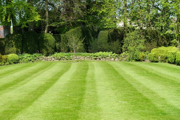 Grass Care Service in Pickerington