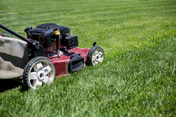 Cost of Routine Lawn Care in Pickerington