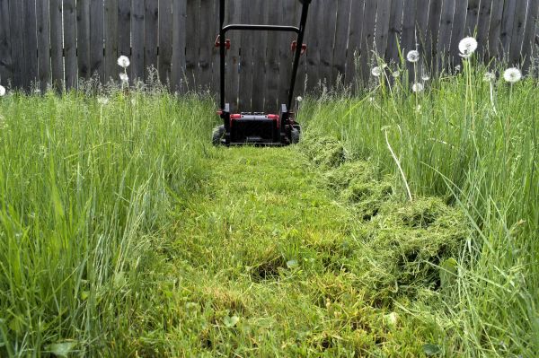 High Grass Mowing in Pickerington