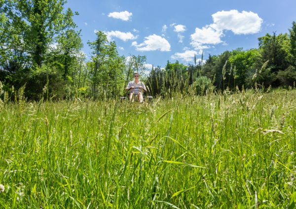 Long Grass Mowing in Pickerington