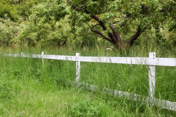 Fence Line Trimming in Pickerington
