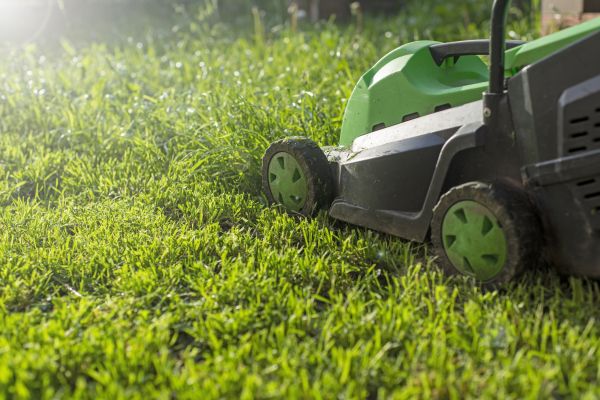 Cost of Yard Trimming in Pickerington