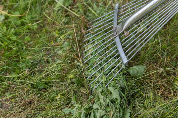 Thatch Raking in Pickerington