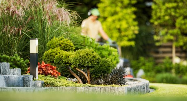 Residential Yard Maintenance in Pickerington