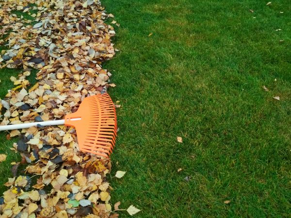 Fall Lawn Care in Pickerington