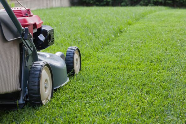 Spring Lawn Maintenance in Pickerington