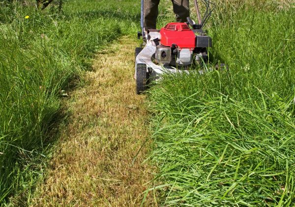 Leaf Mowing in Pickerington