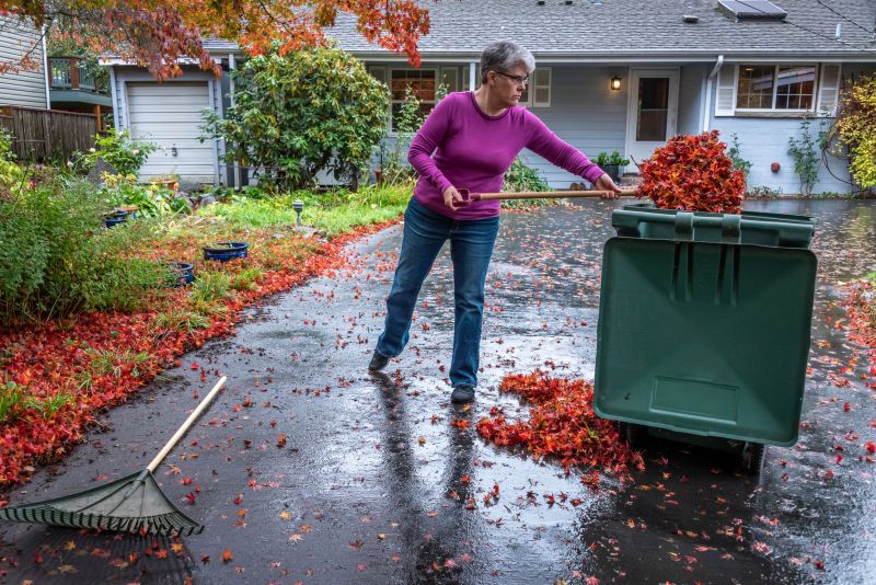 Cleaning Up Yard Debris