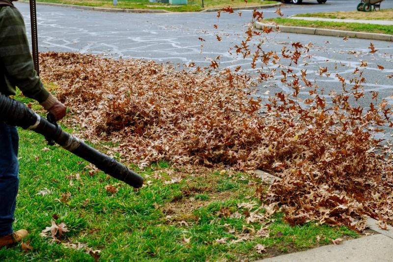 Using Leaf Blowers for Cleanup