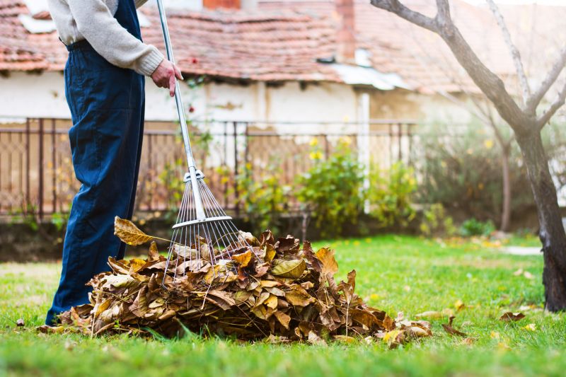 Leaf Raking and Blowing
