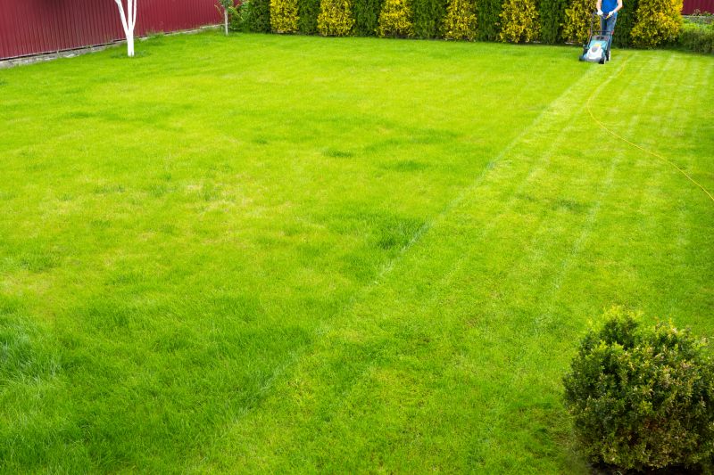 Lawn Maintenance detail