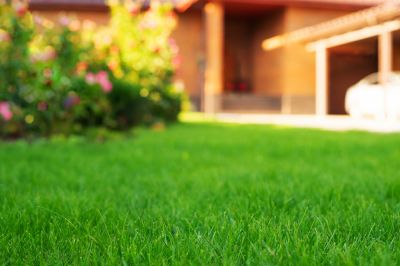 Residential Lawn Care detail