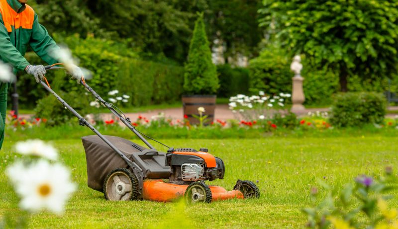 Local Lawn Care Experts